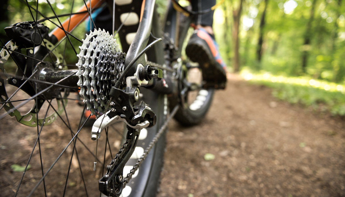 Fat biking hotels near bartlett nh the wentworth