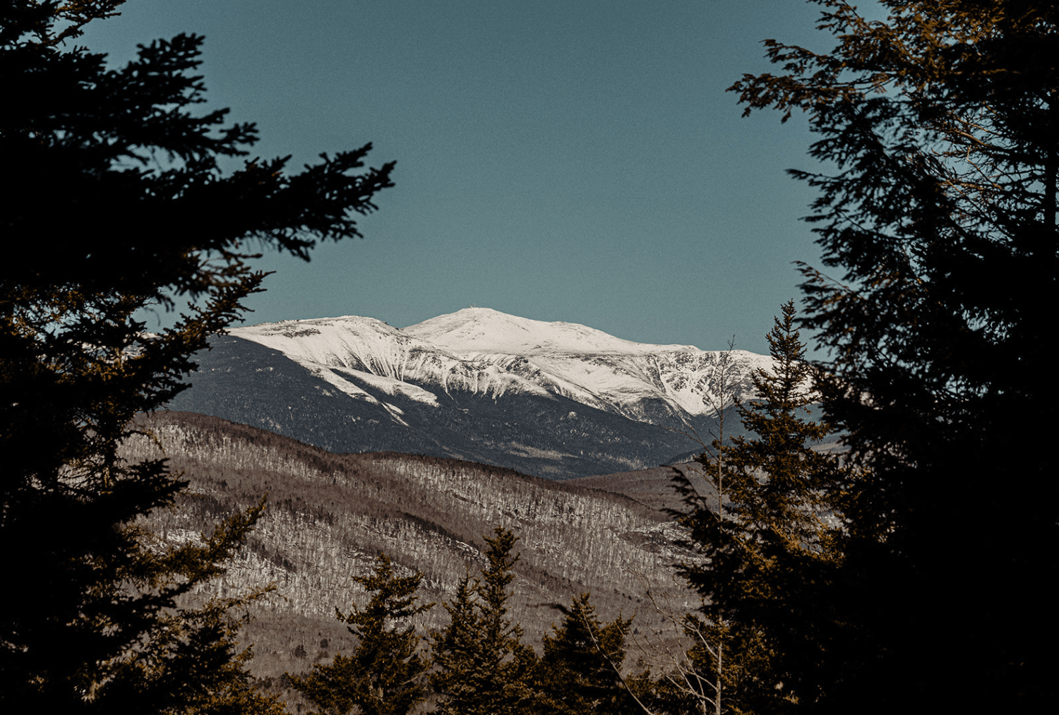 Mountains and trees in Jackson, NH