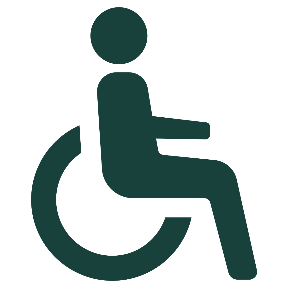 Wheelchair Accessible Icon