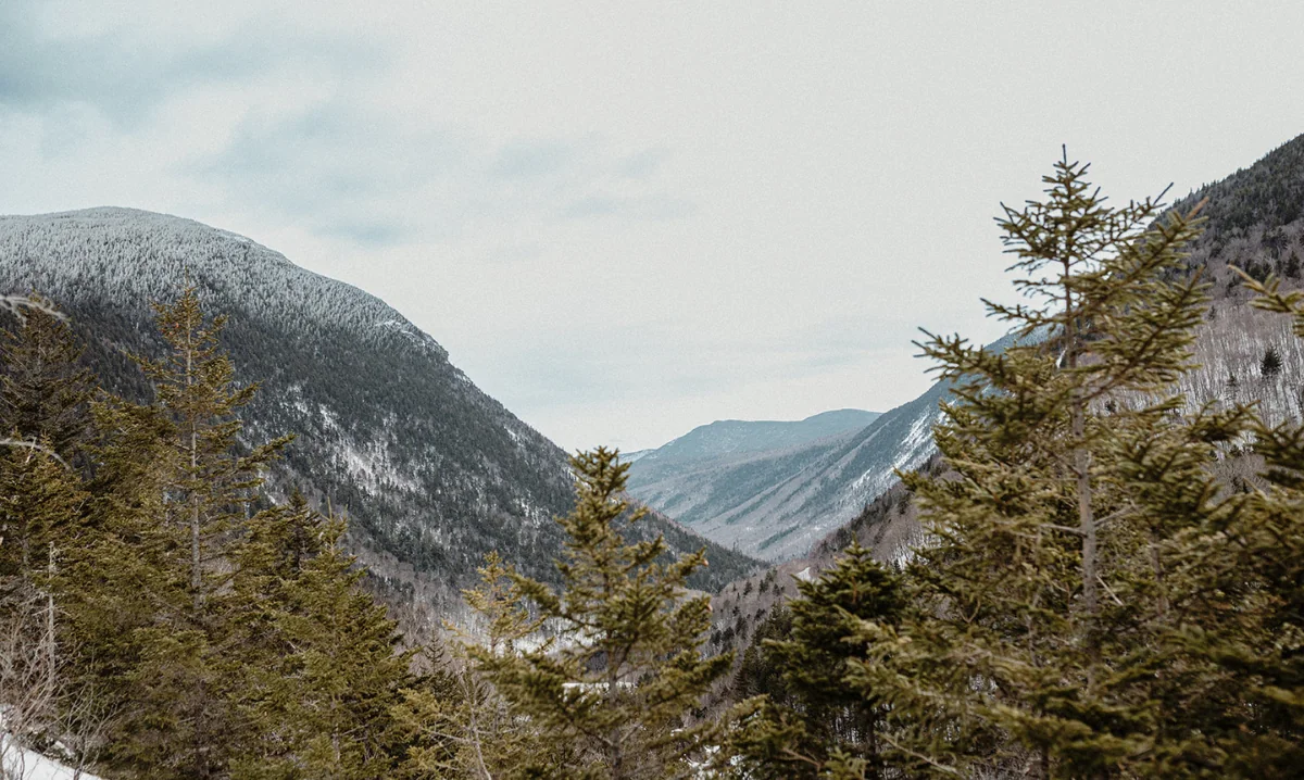 Mountains and trees in Jackson, NH